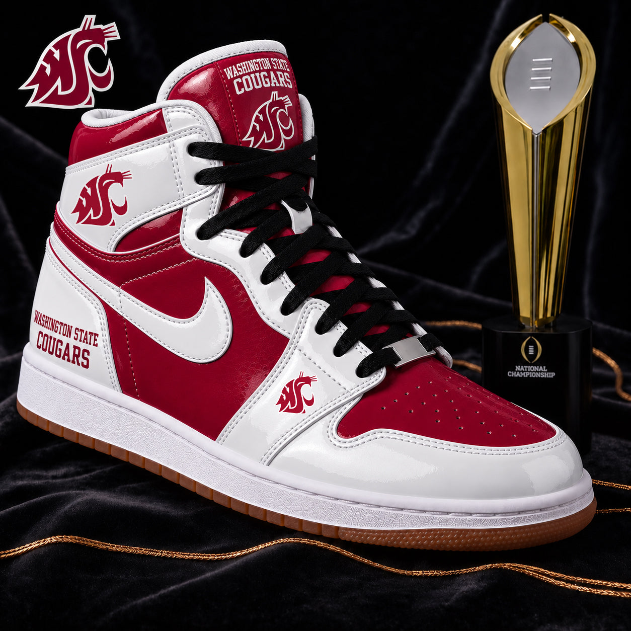 WSC x NCAA Premium V2 Air Jordan 1