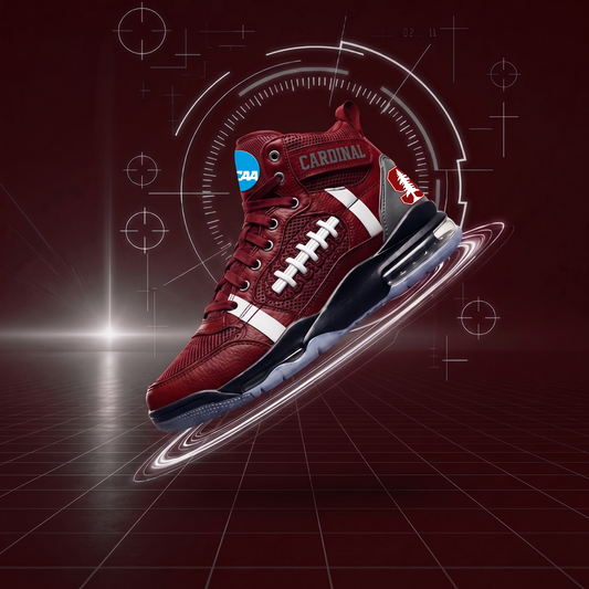 SC x NCAA Premium Air Jordan 1