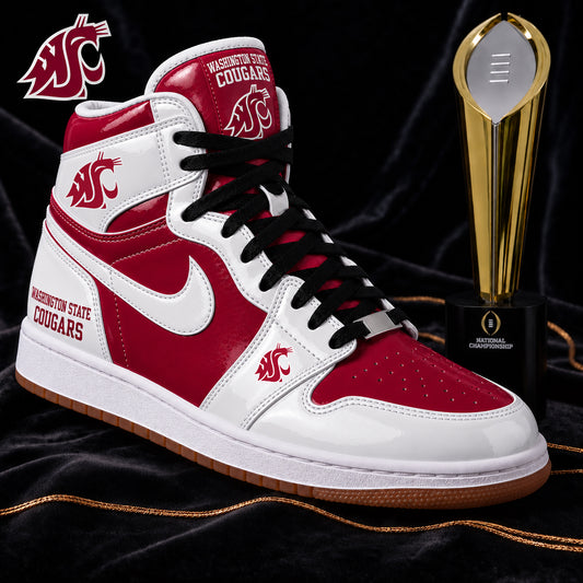 WSC x NCAA Premium V2 Air Jordan 1